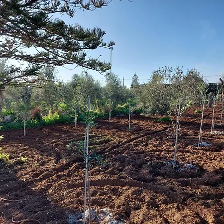 Farma L'aira Ecchia - Ospitalita Rurale