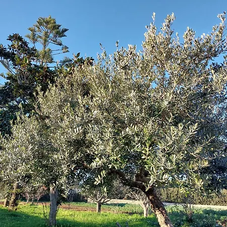 L'aira Ecchia - Ospitalita Rurale 莱切