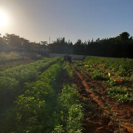 L'aira Ecchia - Ospitalita Rurale Farm stay Lecce