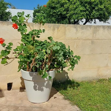 Farm stay L'aira Ecchia - Ospitalita Rurale Lecce
